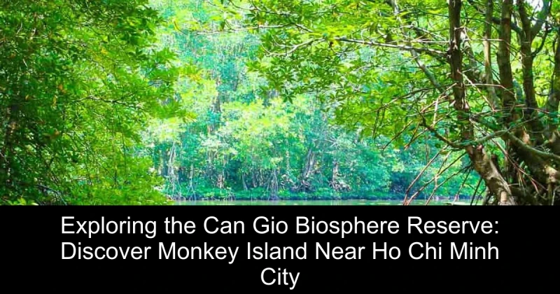 Exploring the Can Gio Biosphere Reserve: Discover Monkey Island Near Ho Chi Minh City
