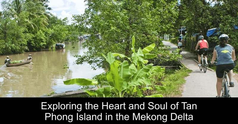Exploring the Heart and Soul of Tan Phong Island in the Mekong Delta