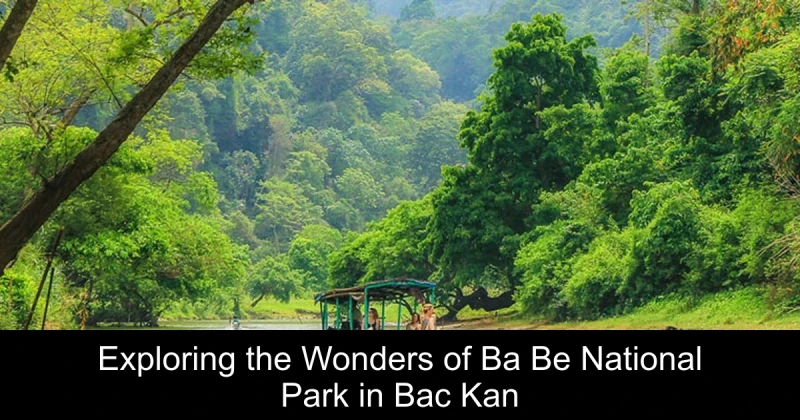 Exploring the Wonders of Ba Be National Park in Bac Kan