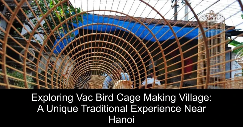 Exploring Vac Bird Cage Making Village: A Unique Traditional Experience Near Hanoi