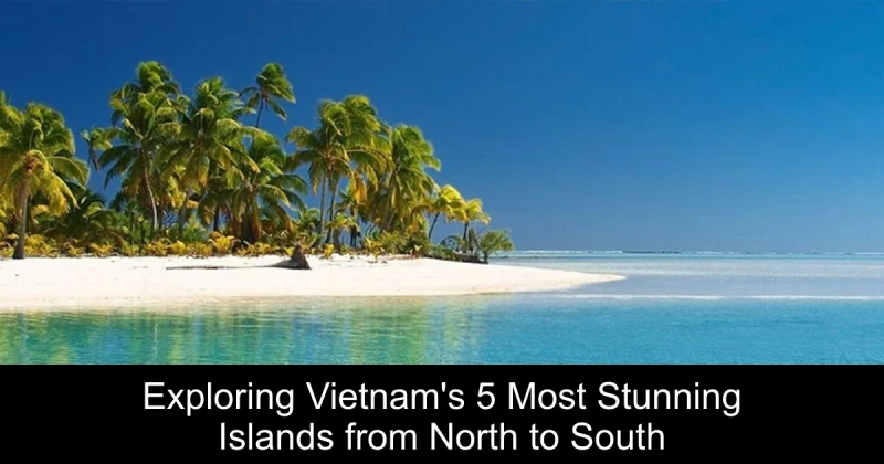 Exploring Vietnam's 5 Most Stunning Islands from North to South