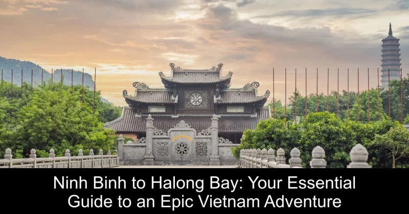 Ninh Binh to Halong Bay: Your Essential Guide to an Epic Vietnam Adventure
