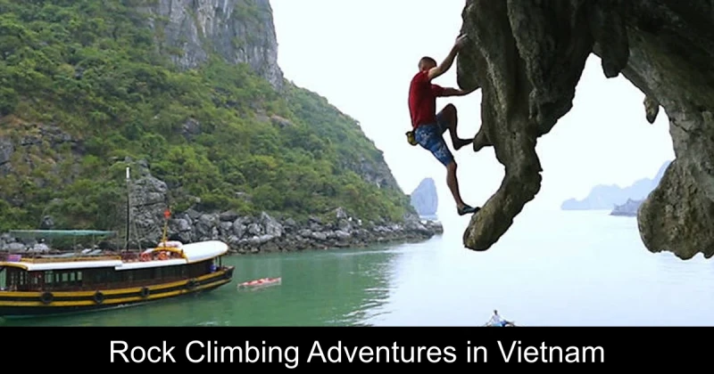 Rock Climbing Adventures in Vietnam