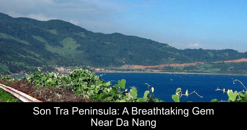 Son Tra Peninsula: A Breathtaking Gem Near Da Nang