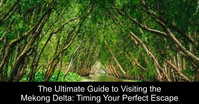 The Ultimate Guide to Visiting the Mekong Delta: Timing Your Perfect Escape