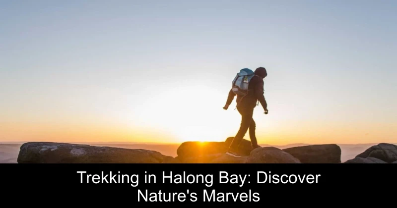 Trekking in Halong Bay: Discover Nature's Marvels