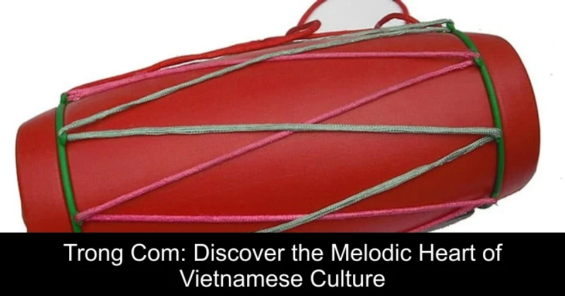 Trong Com: Discover the Melodic Heart of Vietnamese Culture