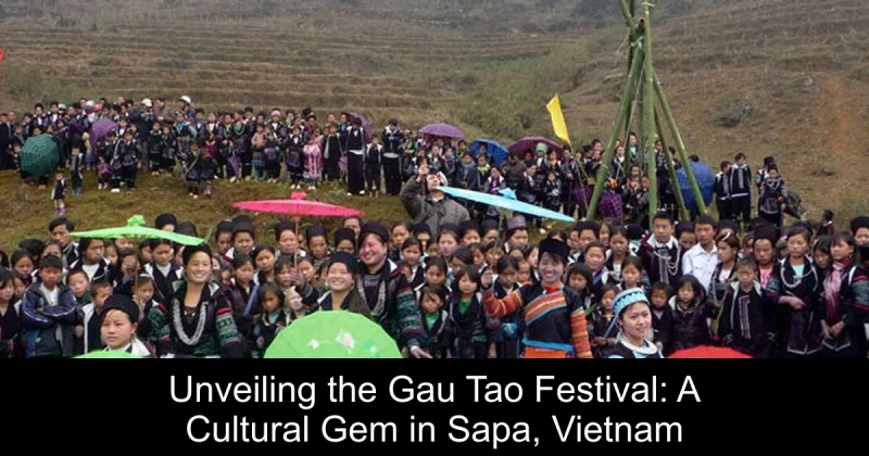 Unveiling the Gau Tao Festival: A Cultural Gem in Sapa, Vietnam