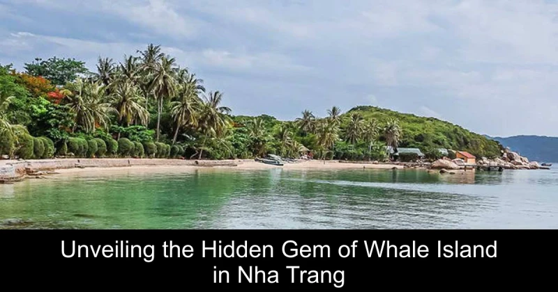 Unveiling the Hidden Gem of Whale Island in Nha Trang