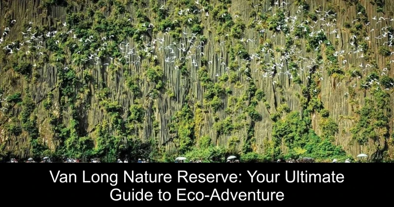 Van Long Nature Reserve: Your Ultimate Guide to Eco-Adventure