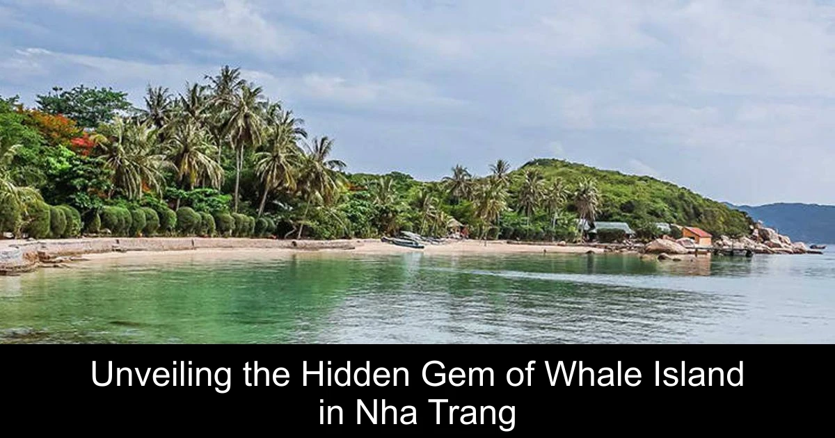 Unveiling the Hidden Gem of Whale Island in Nha Trang