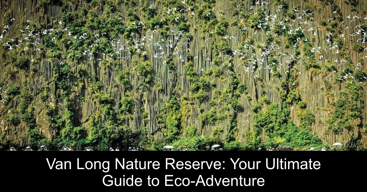 Van Long Nature Reserve: Your Ultimate Guide to Eco-Adventure
