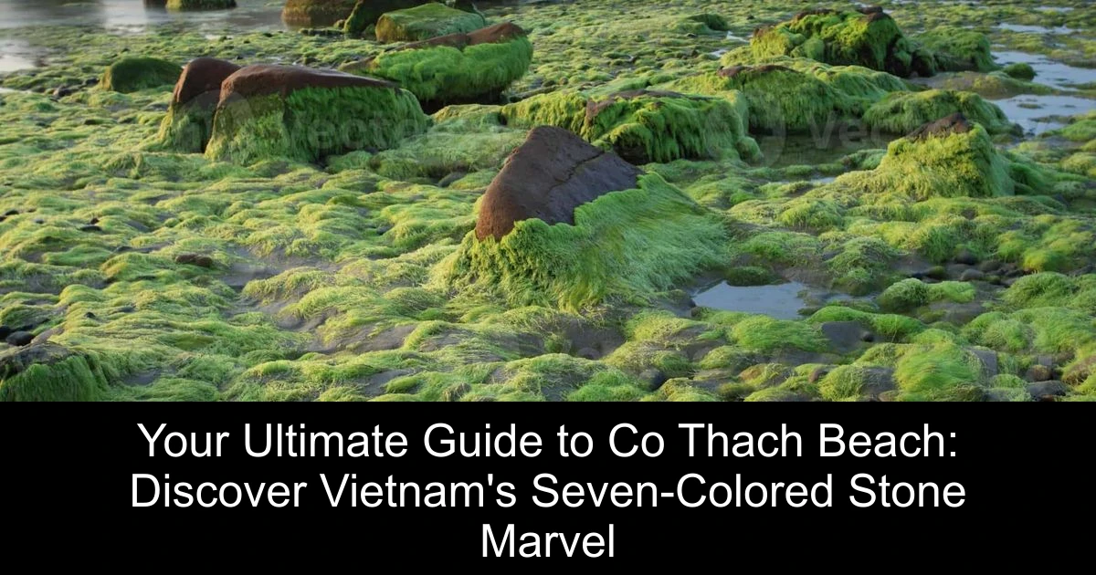 Your Ultimate Guide to Co Thach Beach: Discover Vietnam's Seven-Colored Stone Marvel