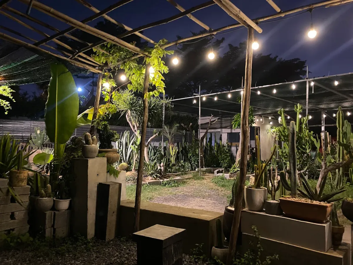 Cactos Chill & Homestay